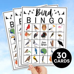 Jeu imprimable de 30 cartes de bingo avec oiseaux, activité d'observation des oiseaux et jeu pour enfants, cartes de bingo avec oiseaux et animaux pour enfants, plateau de bingo pour enfants fête des oiseaux