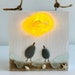 Lighted Sea Glass Jellyfish and Sea Shells 10x10 White Washed - Etsy