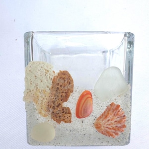Seashell Candle Holder