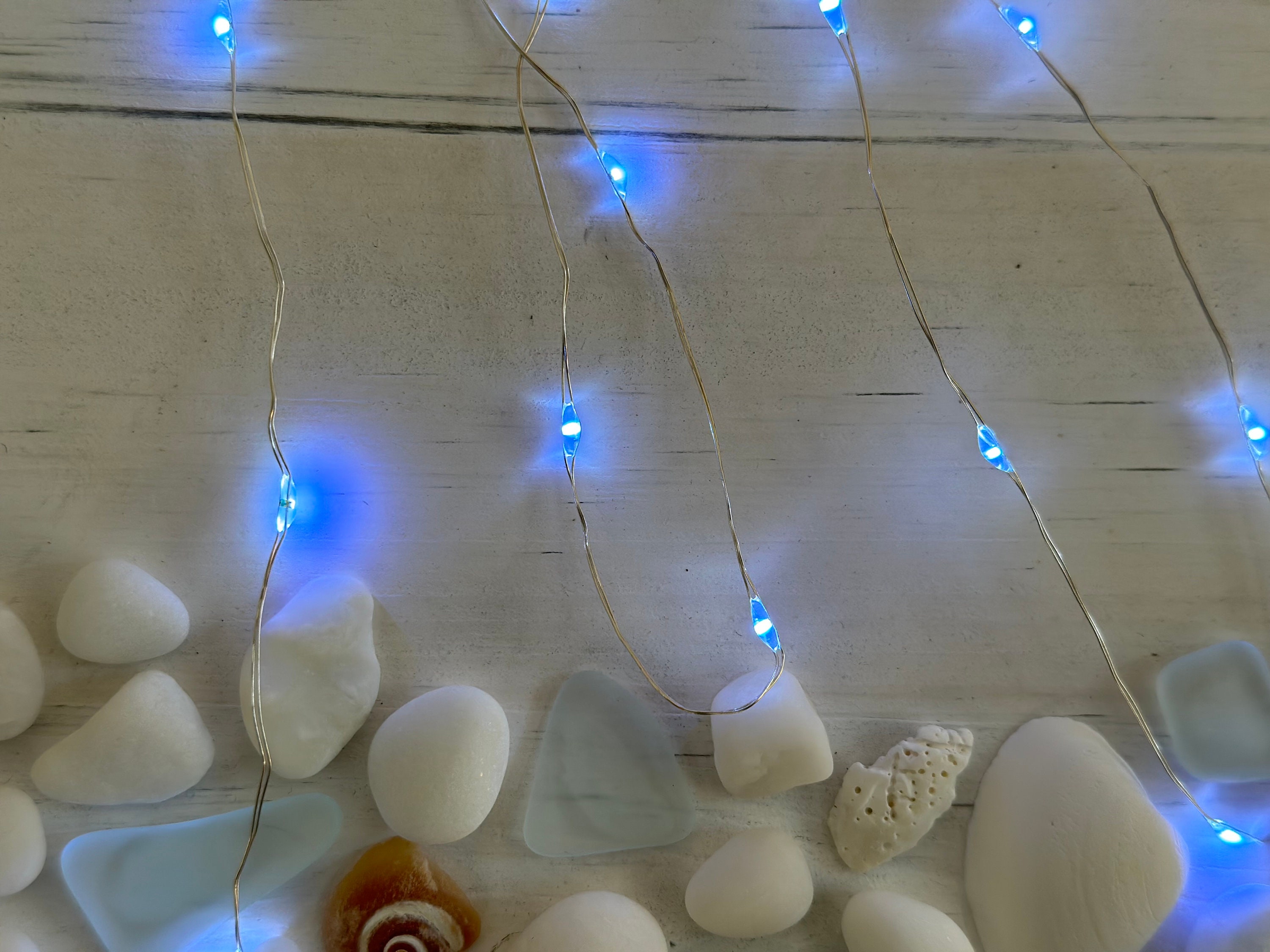 Lighted Sea Glass Jellyfish and Sea Shells 10x10 White Washed - Etsy