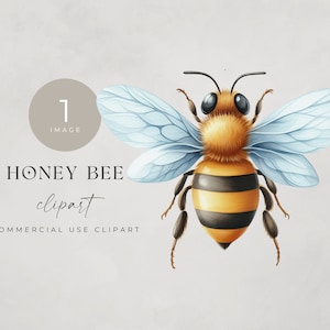 Watercolor Honey Bee Clipart: Summer PNG Graphic (Commercial Use)