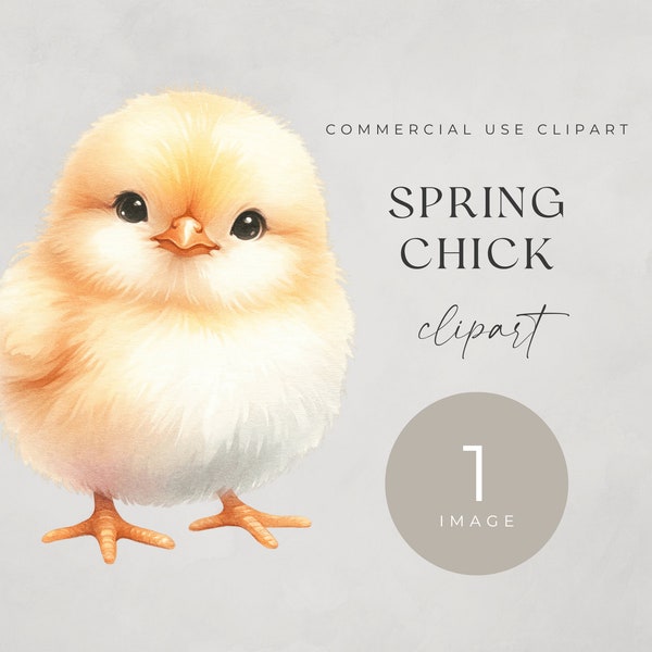 Spring Chick Clipart, SINGLE IMAGE, Adorable Baby Chicken PNG, Junk Journals, Cute Watercolor Easter Clip Art, Farm Animal Graphic