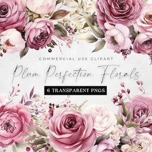 Imágenes prediseñadas de rosas rosadas y moradas, PNG florales de acuarela con rosas polvorientas, rosas color malva y ciruela, seis imágenes transparentes, uso comercial, flores de boda
