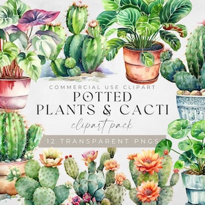Plantas en macetas acuarela clipart, impresión de vegetación, planta de casa PNG, diario basura, maceta, jardinería interior y cactus, uso comercial