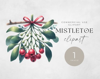 Mistletoe Clipart Png, SINGLE IMAGE, Watercolor PNG, Tradition Clip Art, Winter Greenery, For Commercial Use, Transparent Wedding Clip Art