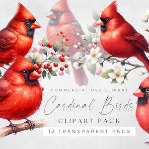 Aquarell-Kardinal-Clipart, vollständige kommerzielle Nutzung, sofortiger Download, digitales Papierhandwerk, Kartenherstellung, rote Vögel-ClipArt, Erinnerungsbuch-PNGs