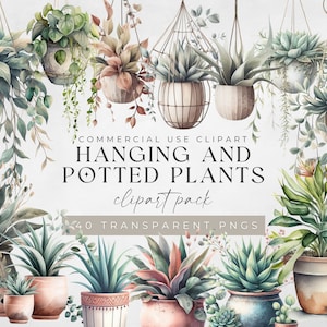 Hangende planten clipart, aquarel potplant, kamerplanten Instant Download, groen illustraties, indoor kamerplanten transparante PNGs