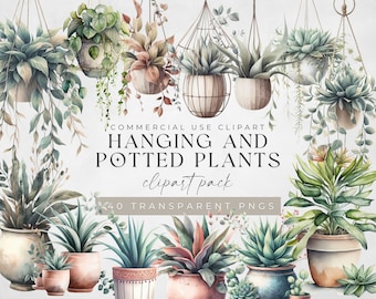 Watercolor Potted Plant Clipart: Hanging Houseplants PNG (Digital Download)