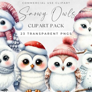 Aquarell Clipart Bundle, Weihnachtseule, Weihnachtseulenbild, digitales Papiermodell, kommerzielle Nutzung digitaler Download, Winter Schnee Eule Png