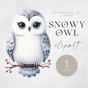 Clipart hibou hiver, image unique aquarelle chouette des neiges, clipart, décoration de chambre d'enfant, neige numérique Png mignon, usage commercial animaux de l'Arctique