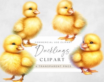 Baby Ducks Clipart, Spring Clip Art, Transparent Background, Farm Animal, Cute Fluffy Duckling PNGs, Instant Download, Four Images, Wall Art