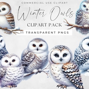 Clipart hibou hiver, aquarelle harfang des neiges, clipart, décoration de chambre d'enfant, image Png enneigée mignon, utilisation commerciale en téléchargement numérique, animaux de l'Arctique