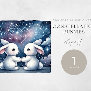 Bunny paar clipart, ENKEL BEELD, commercieel gebruik, sublimatie ontwerp PNG, Valentine aquarel konijntjes & nachtelijke hemel, hart sterrenbeeld