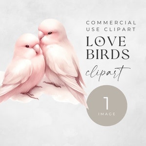 Clipart de pareja de animales de San Valentín, IMAGEN ÚNICA, Clip Art de pájaros de amor, uso comercial, PNG transparente, lindos pájaros románticos rosas de acuarela