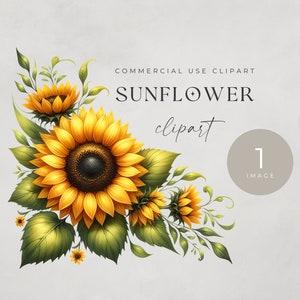 Clipart de girassol de primavera, imagem única, design de sublimação, uso comercial, aquarela de girassol PNG, clipart de flores, jardim floral
