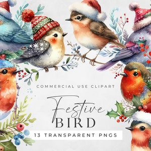 Clipart Png Aquarela Pássaro Natal, Clipart De Férias Para Impressão, Uso Comercial, Download Digital, Decoração De Inverno Aves Festivas