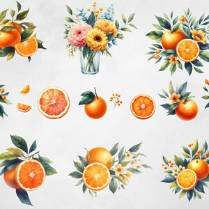 May include: Watercolour illustrations of oranges and orange slices with green leaves and yellow flowers. The oranges are arranged in various compositions, including a bouquet of flowers in a vase.