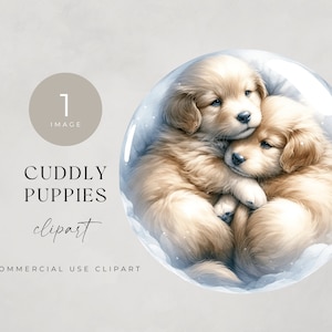 Cucciolo di Golden Retriever PNG, IMMAGINE SINGOLA, Per uso commerciale, PNG trasparenti, Cuccioli coccolosi di sublimazione, Cani carini, Amanti degli animali domestici, Mamma cane