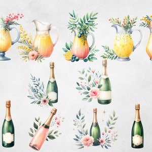 May include: Watercolour illustrations of floral arrangements with jugs of lemonade and champagne bottles. The jugs are filled with yellow and orange lemonade and the champagne bottles are green and pink.