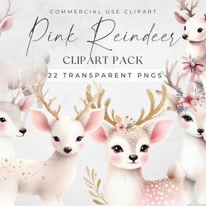 Pacchetto acquerello di renna di Natale Clipart alta qualità, adorabile cervo invernale rosa e oro, uso commerciale, creazione di cartoline, Png trasparenti