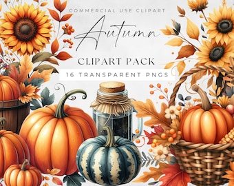 Puede incluir: Un paquete de clipart digital con 16 ilustraciones de temática otoñal. El paquete incluye calabazas, girasoles, hojas, bayas y un frasco. Las ilustraciones están en un estilo de acuarela y tienen una sensación cálida y acogedora.  "Autumn Clipart Pack 16 Transparent PNGs"