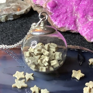 Star Crinoid Bubble Sterling Silver Necklace image 1