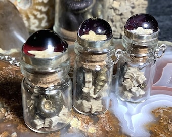 Tiny Fossil Specimen Bottle, with optional Sterling Silver Necklace