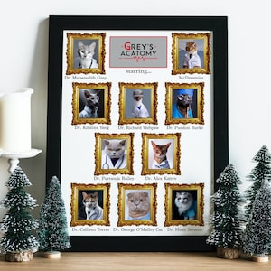 Grey&#39;s Acatomy: Digital download of Meredith Grey, Derek Shepherd (McDreamy), Christina Yang, George O&#39;Malley as cats - Grey&#39;s Anatomy merch