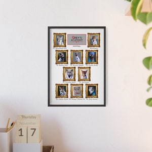 May include: A framed print of a humorous poster featuring cats dressed as doctors from the TV show Grey's Anatomy. The poster has a title that reads "Grey's Acatomy" with a heart beat symbol. The poster features 12 cats in gold frames with their names listed below each cat.