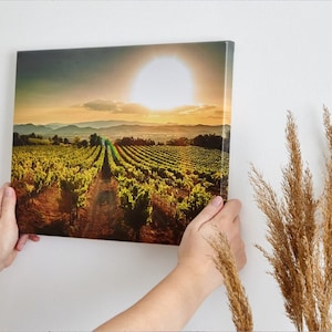 May include: A canvas print depicting a vineyard at sunset. The image shows rows of grapevines leading towards a bright sun setting over distant hills. The print is held against a white wall.