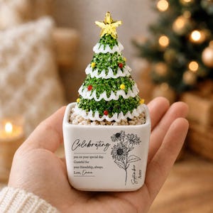 Könnte beinhalten: Ein kleiner grüner Weihnachtsbaum mit weißem Schnee-Dekor, kleinen roten und gelben Kugeln und einem gelben Stern als Spitze. Der Baum steht in einem weißen quadratischen Keramiktopf mit dem schwarzen Text Celebrating, September Aster.
