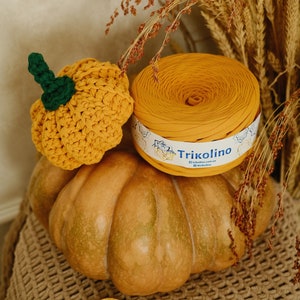 Hand Knitting Yarns Autumn Colors- Cotton Yarn for Knitting, Crochet, and Crafts, 109,36 yards