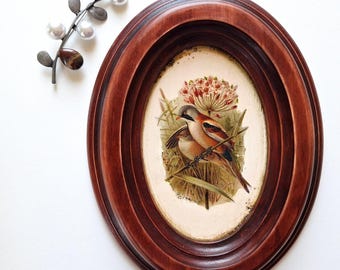 May include: A framed oval print of a bird perched on a branch with flowers in the background. The frame is dark brown wood with a gold inner edge.