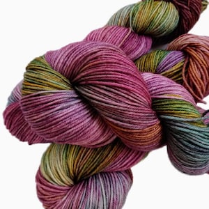 Hand Dyed  Yarn - SW BFL DK Weight - Ferndale - Superwash Bluefaced Leicester