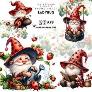Op de afbeelding: Een set van 23 digitale illustraties met gnomen die verkleed zijn als lieveheersbeestjes. De gnomen worden afgebeeld in verschillende activiteiten, zoals rijden op een lieveheersbeestje, schommelen op een bandenschommel, planten water geven en een boek lezen. De illustraties zijn in aquarelstijl en hebben een eigenzinnige en charmante esthetiek.