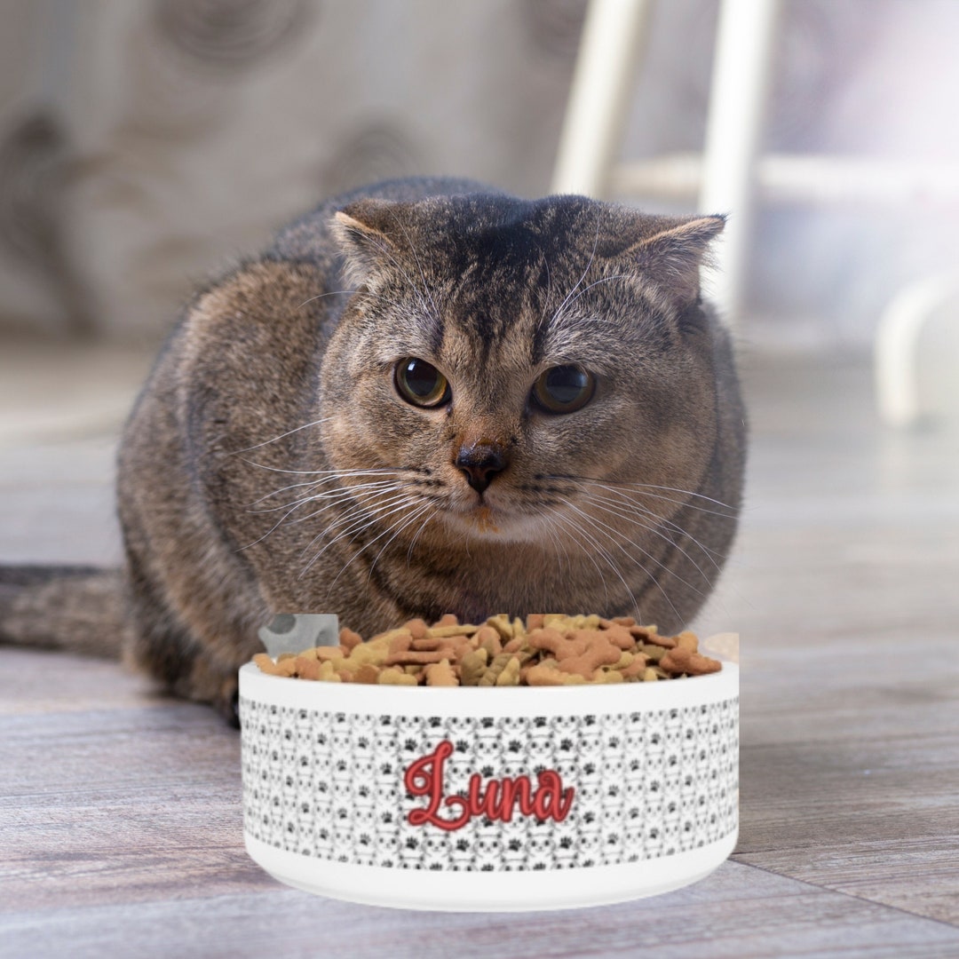 Personalized Cat Bowl Pet Bowl Cat Bowl Cute Bowl Etsy