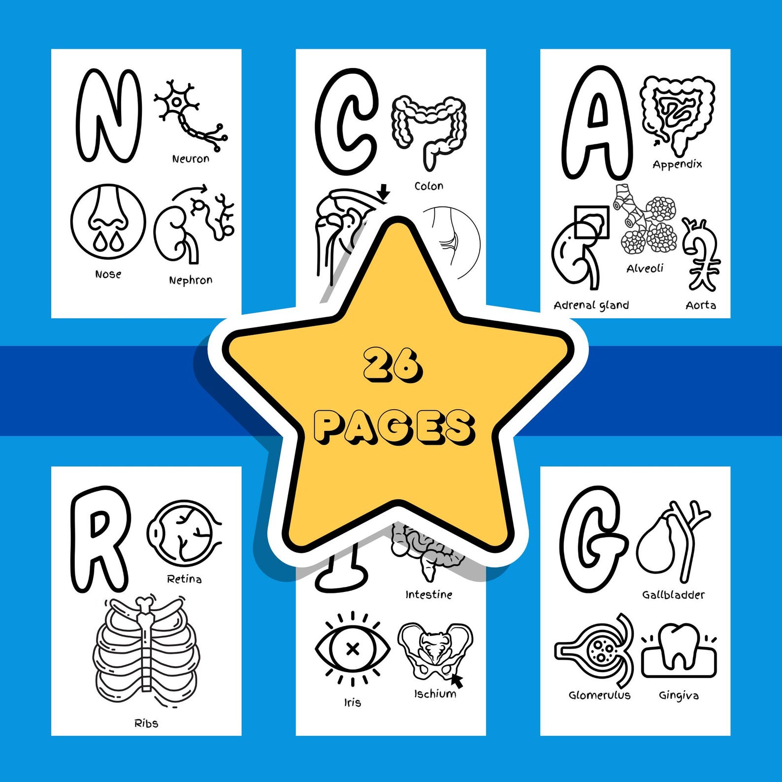 ABC Colouring Anatomy Book, Coloring Book for Kids, Printable Coloring ...