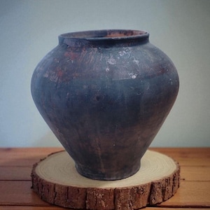 May include: A dark blue ceramic pot with a wide opening and a rounded shape. The pot is placed on a natural wood slice, highlighting its earthy colours. The surface of the pot has a textured look with touches of red and brown.