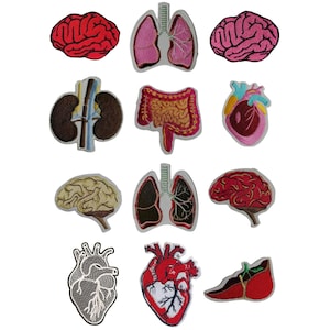 Könnte beinhalten: Eine Sammlung von aufgestickten Patches mit verschiedenen menschlichen Organen, darunter Gehirne, Lungen, Herzen, Nieren und Därme. Die Patches sind in Rot-, Rosa-, Braun- und Beigetönen gehalten, mit detaillierten Stickereien und weißem Rand.