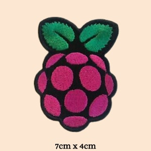 May include: A pink and black raspberry-shaped embroidered patch with green leaves. The patch is 7 cm by 4 cm.