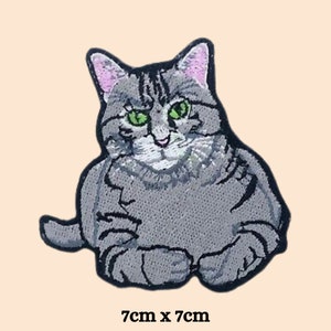 May include: Grey tabby cat with green eyes sitting with its paws tucked under its body. The cat is 7cm by 7cm.
