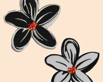 Illustrazione Vettoriale Realistica In Bianco E Nero Di Un Teschio Con Una Rosa 28247804