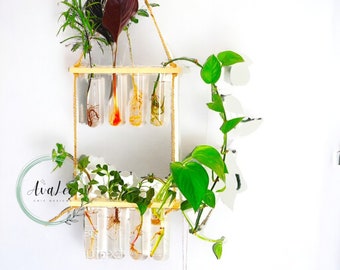 Hanging Glass Planter for Home Decor, Two Layer Vase with Wooden Frame, Indoor Hanging Planters, Wall Hanging Flower Vase for Room Decor