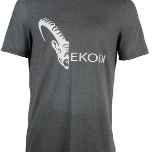 Rayon Logo T Shirt