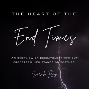 May include: A book cover with the title "The Heart of the End Times" in white script. The author's name, Sarah Ray, is also in white script. The background is a dark, stormy sky with a lightning bolt.