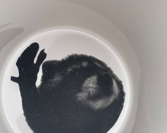Pedro Pedro Pedro the Dancing Raccoon Mug, Custom Funny Meme, Viral Tik Tok Meme, Personalized Engraved Pedro Theme Mug, Hidden Pedro Mug