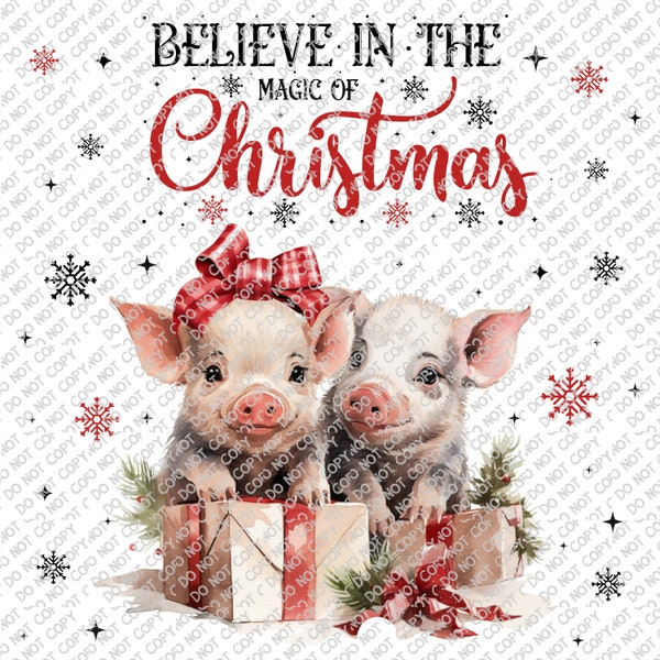 Believe in The Magic of Christmas Png