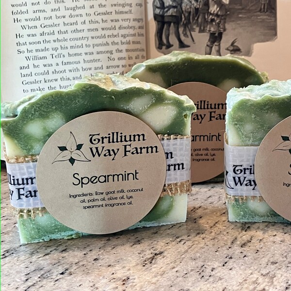 SPEARMINT Small batch Goat Milk Soap GIFTS for yourself or wedding shower or baby showers. Mother's Day gift.