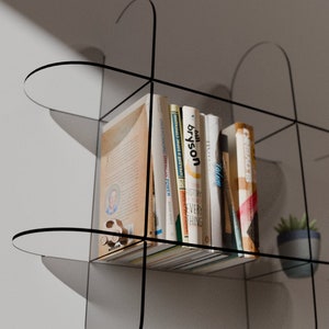 Puede incluir: Estantería de pared moderna de acrílico transparente con estructura de metal negro. Exhibe una colección de libros y una pequeña planta en maceta. El diseño es minimalista y contemporáneo, ideal para exhibir libros y objetos decorativos.
