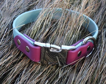 Side Release Buckle / Dog Collar / Sage and Wine / Two Tone / Biothane Dog Collar